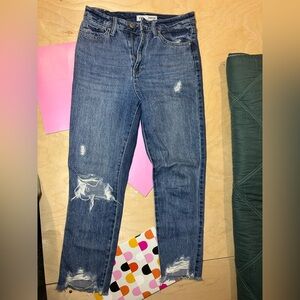YMI Dream Blue Denim Jeans